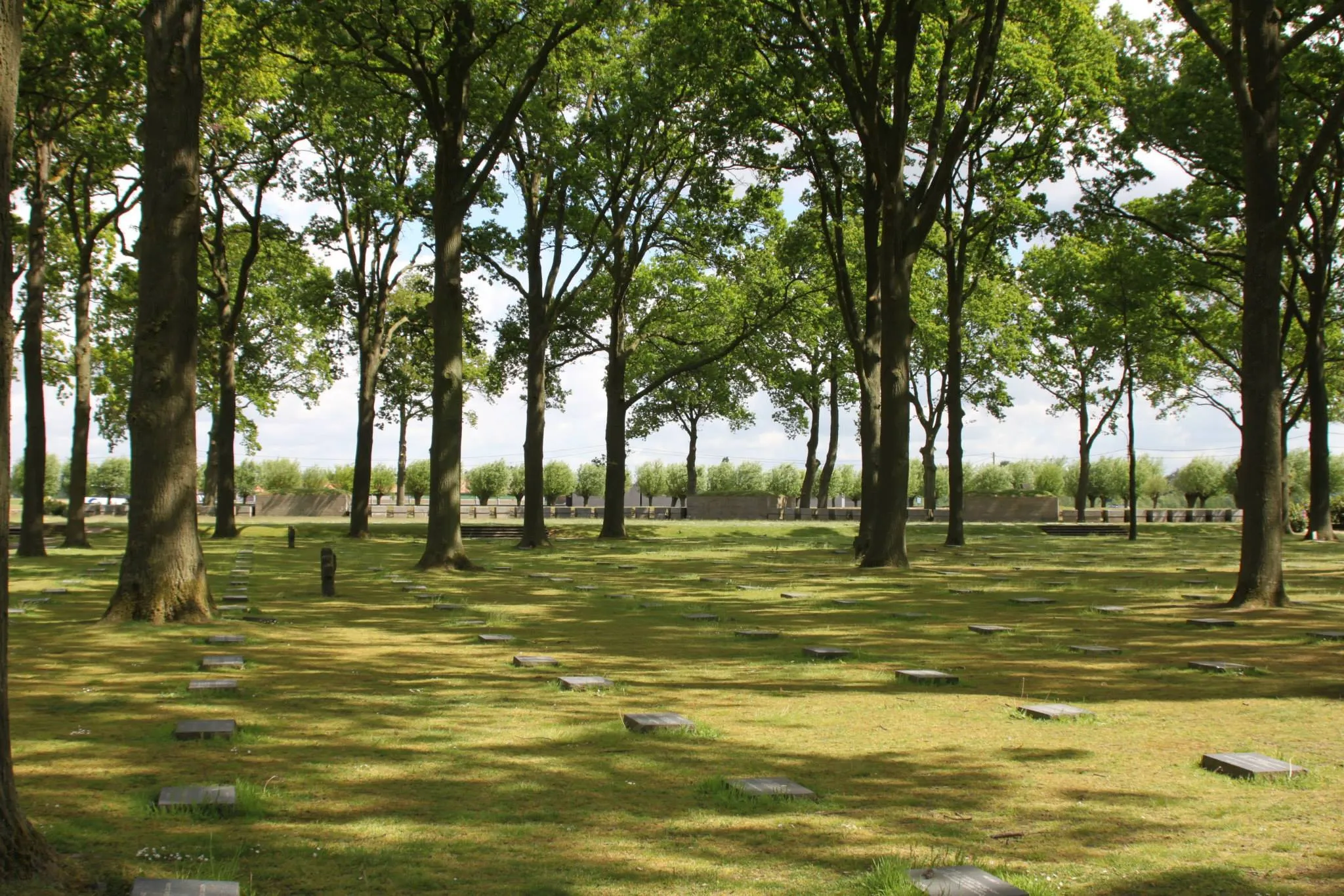 A grove of oaks fills the cemetery.